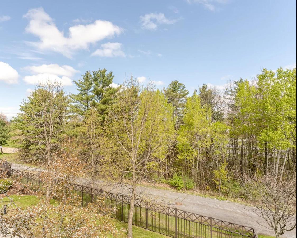Courtyard Burlington Williston Ξενοδοχείο Εξωτερικό φωτογραφία